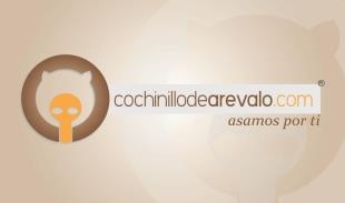 www.cochinillodearevalo.com